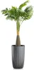 HowHomely | Set di fioriere - Stripped - Grigio - Design Anteprima dell’immagine prodotto 6