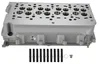 Culasse pour VW Crafter 30-35, 30-50, Amarok 2.0 TDI Diesel Voir les images du produit 3
