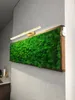 A moss wall art with a gold picture light mounted above it, on a textured gray wall. Náhľad obrázku produktu