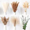 set di decorazioni in erba di pampa boho da 110 pezzi, Anteprima dell’immagine prodotto 3