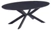 HOME DELUXE Esstisch Oval AVENTIS inkl. Sternfuß - 200 x Produktbild-Vorschau 1
