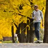 Ruffwear Flagline Geschirr Lichen Green M Produktbild-Vorschau 13