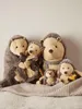 Bieco Igel Kuscheltier Baby Igel | Süßes Baby Geschenk Produktbild-Vorschau 8
