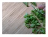 10x Lablab purpureus Helmbohne Bohne Kletterpflanze Samen Produktbild-Vorschau 6