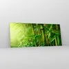 Bilder auf glas - Bambus Pflanze - 120x50cm - Glasbilder - Produktbild-Vorschau 4
