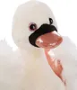 NICI Plüsch Liebe Weißer Schwan 35cm, GRÜN Produktbild-Vorschau 9