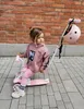 Multifunktionaler 5-in-1 Balance-Roller mit Sitz, Rosa, ab Produktbild-Vorschau 4