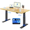 FLEXISPOT ValtreX E200 Höhenverstellbarer Schreibtisch Produktbild-Vorschau 1