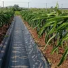 Unkrautvlies Gartenvlies Bodengewebe 100g/m² Unkrautfolie Produktbild-Vorschau 2