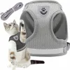 A cat wearing a gray harness and a gray leash is shown next to a larger gray harness. Náhled obrázku produktu