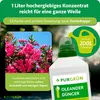 Purgrün Oleander Dünger | Flüssigdünger mit extra Phosphor Produktbild-Vorschau 4