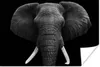 MuchoWow® Poster Elefant - Wildtiere - Schwarz - Weiß - Produktbild-Vorschau 1