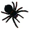 Obrovský pavúk na diaľkové ovládanie Tarantula s diaľkovým Náhľad obrázku produktu 5