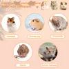 Hamsterrad, Laufrad aus Holz für Kleintiere, Laufrad für Produktbild-Vorschau 4