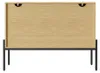 Modern dressoir met 2 deuren en metalen poten, ideaal als Productafbeelding-voorbeeld 16