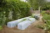 Three clear plastic plant tunnels are arranged in a garden bed, with green plants growing inside them. A stone wall and lush green foliage form the background. Produktbild-Vorschau