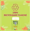 Le Petit Marseillais Duschgel Mandarine & Limette BIO Produktbild-Vorschau 3