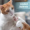 Felisept Hautpflegespray für Katzen 250ml - Milbenspray Produktbild-Vorschau 2