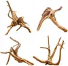 Aquarium Wurzel Red Moor XS 10-15 cm, natürliche Deko für Produktbild-Vorschau 6
