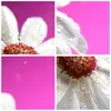 Bilder auf glas - Blume frühling garten - 30x30cm - Produktbild-Vorschau 8