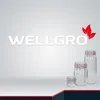 WELLGRO Einmachgläser mit Bügelverschluss rund 255ml - Produktbild-Vorschau 6