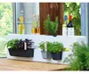 Sadzarka Easy 10 cm do europalet, kolor betonu Podgląd zdjęcia produktu 8