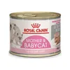 Royal Canin BABYCAT INSTINCTIVE - Nassfutter für Katzen - Produktbild-Vorschau 3