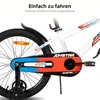 JOYSTAR Berry 20 Zoll Kinderfahrrad für 2-13 jährige Jungen Produktbild-Vorschau 3