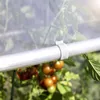 Windhager Tomatenhaus Aluminium 150x80x170 cm mit robuster Produktbild-Vorschau 4