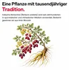 Berberin Kapseln Hochdosiert 500mg – Berberine HCl 98% aus Produktbild-Vorschau 5