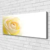 Tulup Leinwand-Bilder 125x50 Wandbild Canvas Kunstdruck Produktbild-Vorschau 2