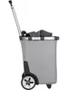 A side view of a grey shopping trolley with a telescopic handle and two wheels. Produktbild-Vorschau