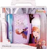 Alu-Trinkflasche & Brotdose mit Besteck | Disney Frozen | Produktbild-Vorschau 1