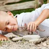 Schleich Dinosaurs Figur Sammelfigur Triceratops 15000 Produktbild-Vorschau 6