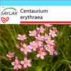 SAFLAX Darčeková sada - Centaury - Centaurium erythraea - Náhľad obrázku produktu 5