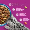 Whiskas Adult 7kg Sucha Karma Pełnoporcjowa Dla Dorosłych Podgląd zdjęcia produktu 8