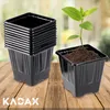 KADAX Blumentopf für Setzlinge "Corse", Anzuchttöpfe aus Produktbild-Vorschau 2