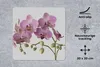 MuchoWow® Mauspad Mousepad Orchideen auf grauem Hintergrund Produktbild-Vorschau 2