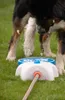 Fontana d'acqua CoolPets Splash Anteprima dell’immagine prodotto 6