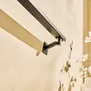 A close-up shot of a black metal handrail mounted on a light-colored wall, with shadows cast by the handrail and decorative white flowers in the background. Náhľad obrázku produktu