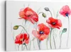 Bild auf Leinwand - Leinwandbild - Blume Mohn Wiese - Produktbild-Vorschau 1
