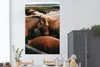 MuchoWow® Poster Pferde - Tiere - Spiel 120x180 cm - Produktbild-Vorschau 2
