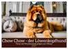 Chow Chow – pes s hlavou leva (nástenný kalendár 2027, Náhľad obrázku produktu 10