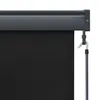 vidaXL Store extérieur 120 x 250 cm Anthracite Voir les images du produit 6