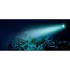 Aquariumbeleuchtung Fluval PRISM LED 2.0 Spotlight mit Produktbild-Vorschau 3