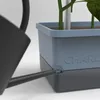 Gusta Garden CHARLY CHILY Štandardný samozavlažovací Náhľad obrázku produktu 12