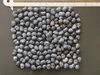 Chinesische Fächerpalme (Trachycarpus fortunei)  - 20 Samen Produktbild-Vorschau 4