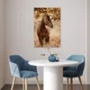 MuchoWow® Poster Pferd - Sonne - Porträt - Natur - Braun Produktbild-Vorschau 5