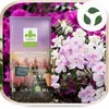 Rhododendronerde 20 l - Hochwertig - Nährstoffreich - Für Produktbild-Vorschau 5