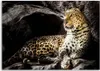 Leinwandbild leopard auf den felsen 100x70 cm Feeby gelb Produktbild-Vorschau 3